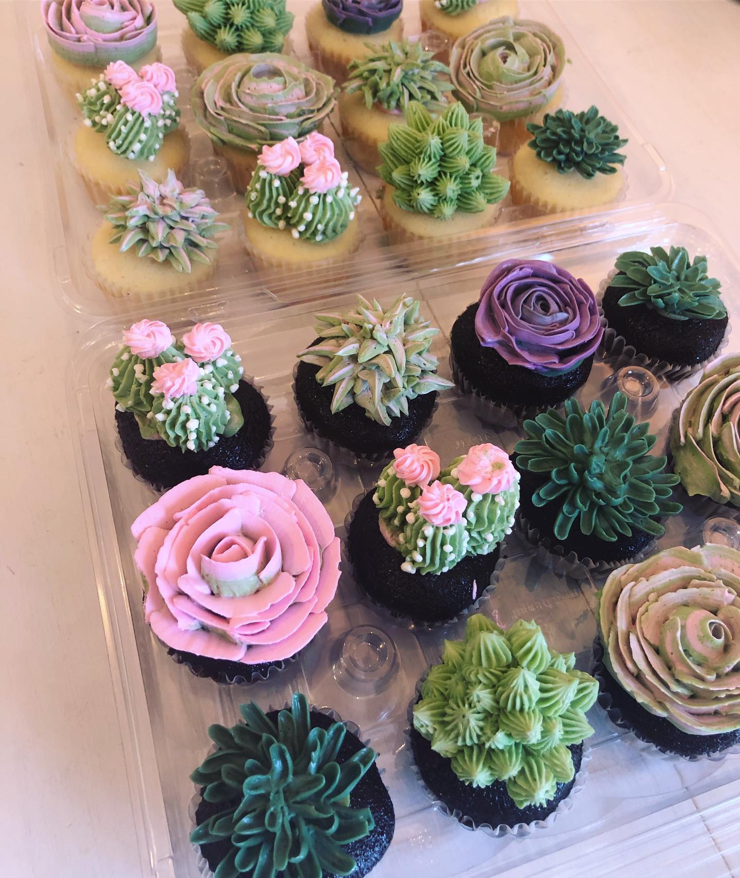 Succulent Cupcakes